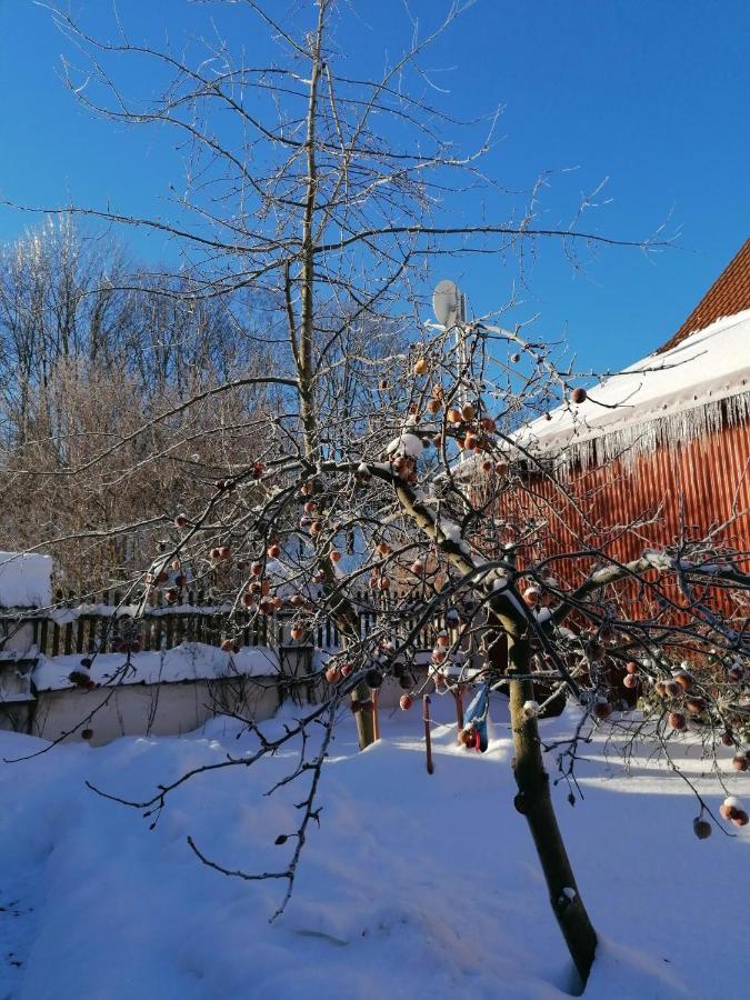 Stilvolles Ferienhaus Artdeco Wernigerode Luaran gambar